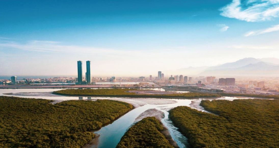 Reimagining our region through ESG: The 2022 Middle East report