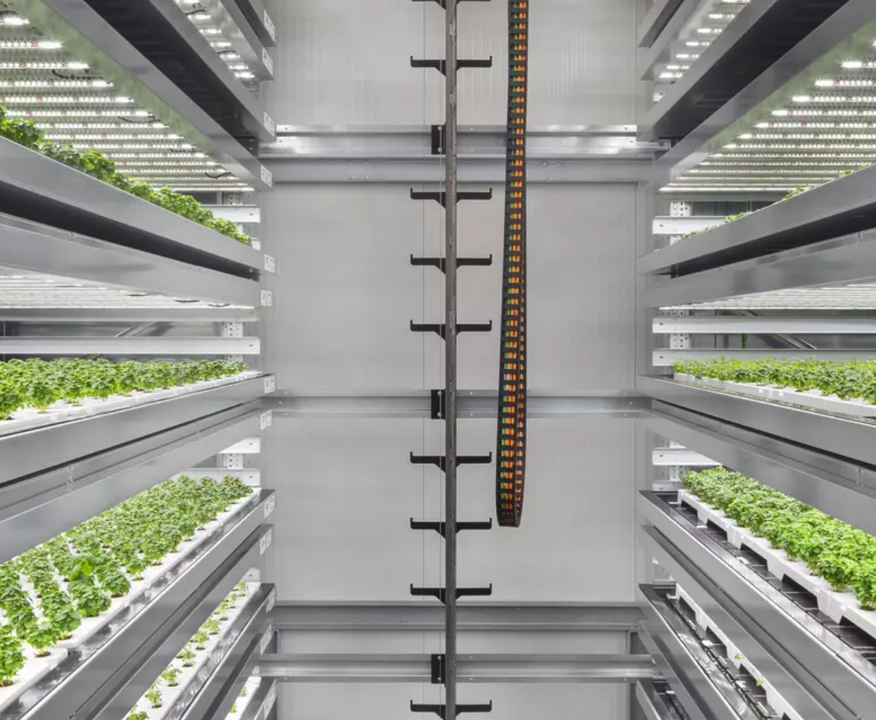 How will we feed a hotter, smarter and more crowded world?