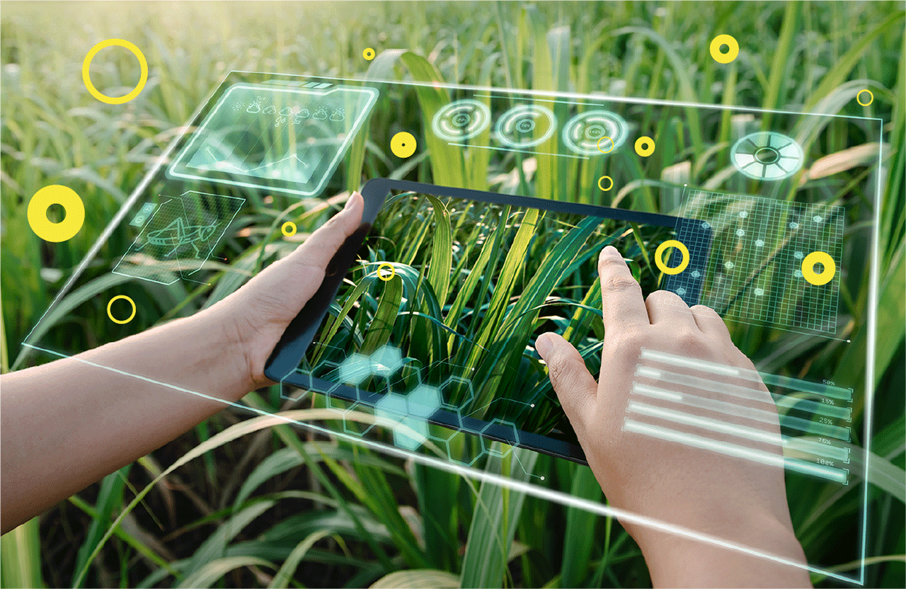 Agritech Market 2023-2030: Trends, Opportunities, and Strategies for Future Growth